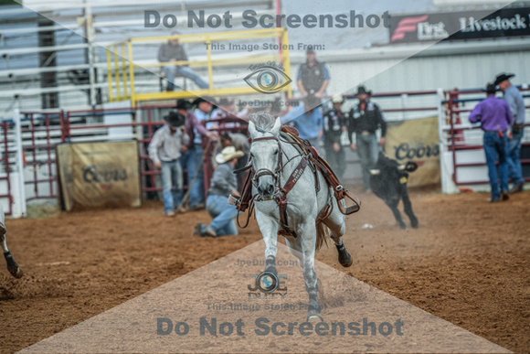 North Texas Fair and rodeo denton2200
