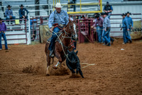North Texas Fair and rodeo denton2267