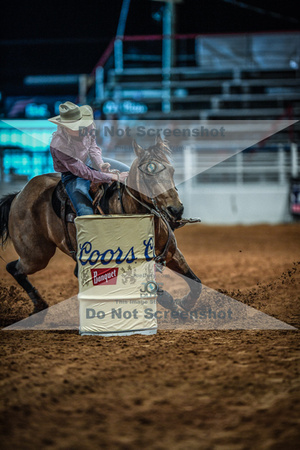 North Texas Fair and rodeo denton3366