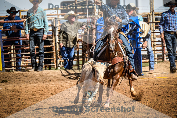 _JDZ0063-03-25-2022_Huntsville rodeo_Steer Tripping_JoeDuty-01237
