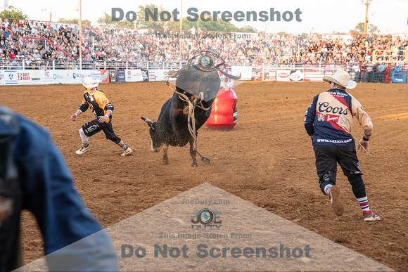 _DSC4262.NEF_8-27-2022_North Texas State Fair Rodeo_Bulls_Perf 3_Lisa Duty10026