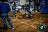 10-225509-2020 North Texas Fair and rodeo denton bulls first perfeqn}