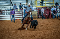 North Texas Fair and rodeo denton2264