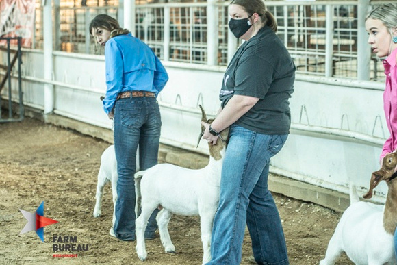 2021 Wise County Youth Fair Monday00075