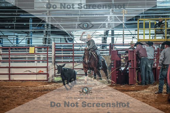 North Texas Fair and rodeo denton3092