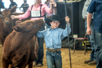 10-174000-2020 North Texas Fair and rodeo denton seqn}