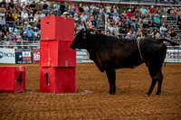_DSC2406
