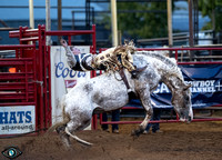 _JDZ5062nt_fair_rodeo_youth_1st_perfA