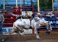 _JDZ5061nt_fair_rodeo_youth_1st_perfA