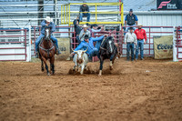 North Texas Fair and rodeo denton2074