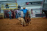 North Texas Fair and rodeo denton2297