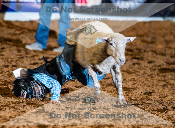 10-22-2020-North Texas Fair Rodeo-Bulls Perf1-Lisa7885