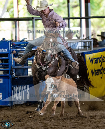 _JDZ2955_North_teaxs_rodeo_bod_9-16-2303360