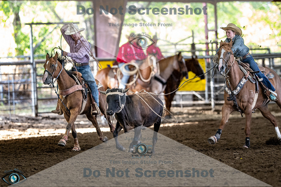 _JDZ3889_North_teaxs_rodeo_bod_9-16-2304294