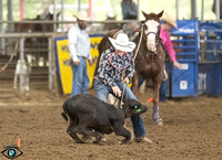 _JDZ2494_North_teaxs_rodeo_bod_9-16-2302899