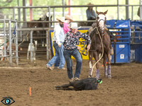 _JDZ2492_North_teaxs_rodeo_bod_9-16-2302897