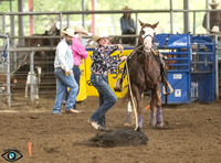 _JDZ2491_North_teaxs_rodeo_bod_9-16-2302896