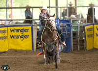 _JDZ2488_North_teaxs_rodeo_bod_9-16-2302893