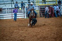 North Texas Fair and rodeo denton2262
