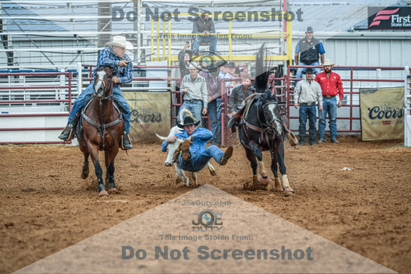 North Texas Fair and rodeo denton2079