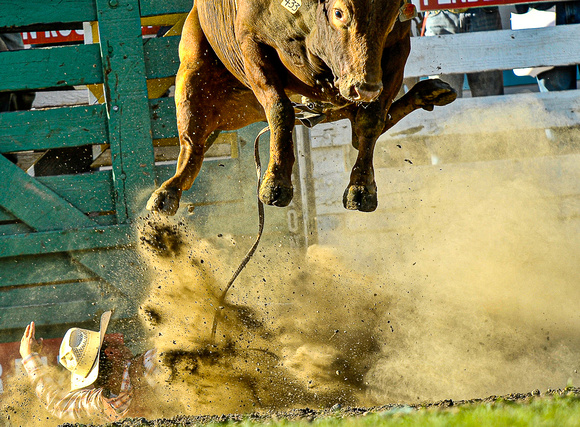 Pemdleton_rodeo_all1084