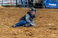 _JOE7120.NEF_8-26-2022_North Texas State Fair Rodeo_Bulls_Perf 2_Lisa Duty8710