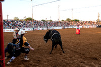 _DSC4253.NEF_8-27-2022_North Texas State Fair Rodeo_Bulls_Perf 3_Lisa Duty10017