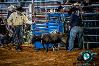 10-225519-2020 North Texas Fair and rodeo denton bulls first perfeqn}