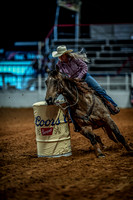 North Texas Fair and rodeo denton3370
