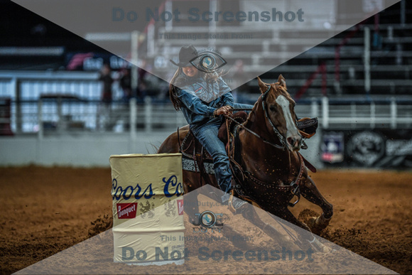 North Texas Fair and rodeo denton3407