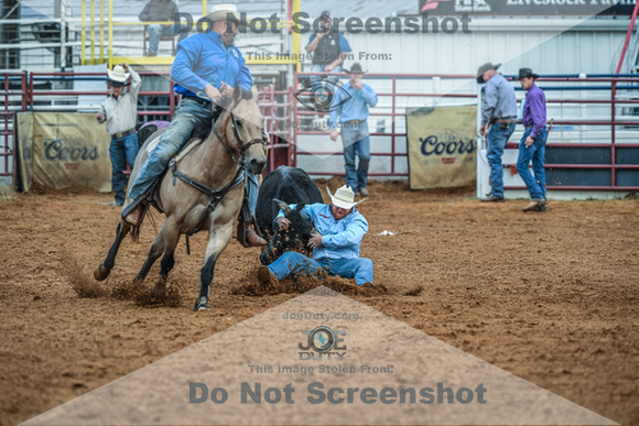 North Texas Fair and rodeo denton2133