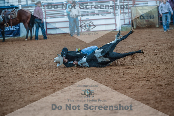 North Texas Fair and rodeo denton2249