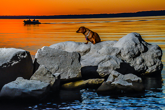 gracie on the lake (22 of 29)-2