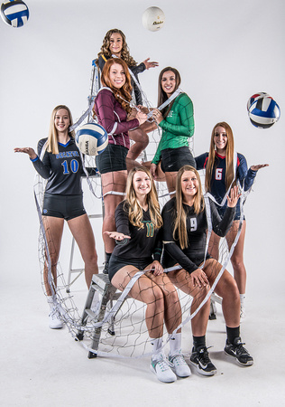 Volleyball fall sports cover 20181447