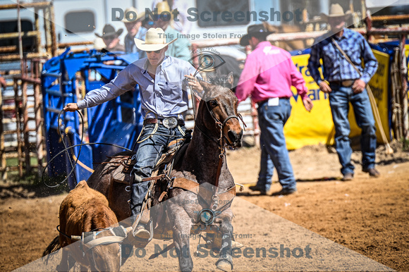 _JDZ0309-03-25-2022_Huntsville rodeo_Steer Tripping_JoeDuty-01483