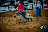10-225511-2020 North Texas Fair and rodeo denton bulls first perfeqn}