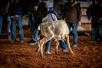 _JD14035_Graham_RH_Region3_Rodeo_7_ShootDogging_02815