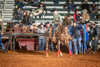 _JD14450_Graham_RH_Region3_Rodeo_7_RibbonRoping_BR_03870