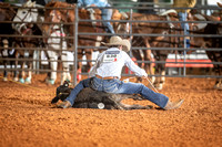 _JD14515_Graham_RH_Region3_Rodeo_7_RibbonRoping_BR_03935