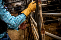 _2LD0330_Graham_RH_Region3_Rodeo_7_LifeStyle_03742