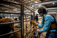 _2LD0340_Graham_RH_Region3_Rodeo_7_LifeStyle_03752