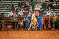 Sr Team Roping