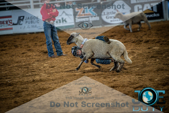 10-225495-2020 North Texas Fair and rodeo denton bulls first perfeqn}