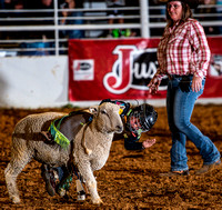 10-22-2020-North Texas Fair Rodeo-Bulls Perf1-Lisa7867