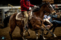 Steer Wrestling