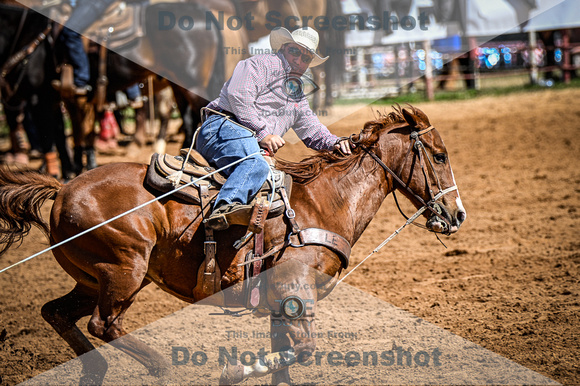 _JDZ0254-03-25-2022_Huntsville rodeo_Steer Tripping_JoeDuty-01428
