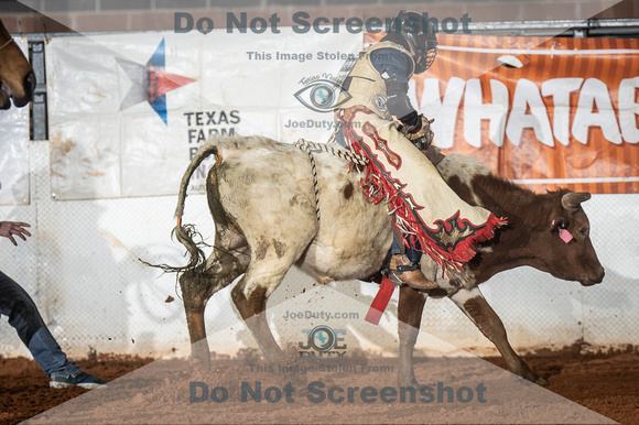 _JD20251_Graham_RH_Region3_Rodeo_9_Roughstock_card1_09974