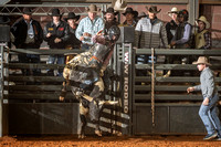 Bull Riding Rodeo 9