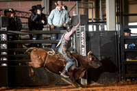 Bull Riding Rodeo 10