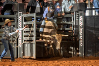 Jr Bull Riding Rodeo 10